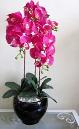  Shop Hoa  Trang Trí   - bình hoa  lan tím trang trí văn phòng
